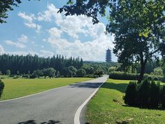 -宜兴龙背山森林公园