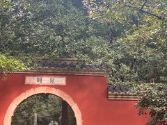 -灵谷景区