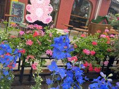 -萤火虫咖啡(后海店)