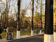 -山东大学(洪家楼校区)