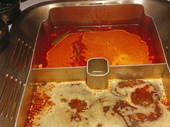 -九鼎轩脆毛肚火锅(南京东路店)