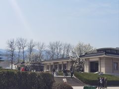 -秦始皇帝陵博物院(兵马俑)