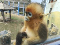 -大连森林动物园