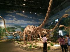 -自贡恐龙博物馆