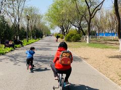 -永定河休闲森林公园