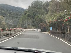 -江西阳明山国家森林公园