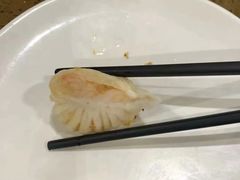 避风塘虾饺-点心皇子茶餐厅(万国大都会店)