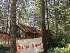 -汤旺河林海奇石景区