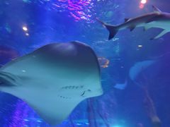 -沈阳海洋探索中心