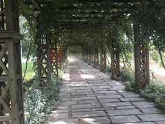 -北京张裕爱斐堡酒庄