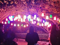 -郑州方特梦幻王国