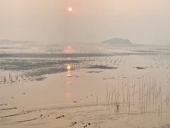 -北岐滩涂