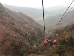 -王顺山国家森林公园