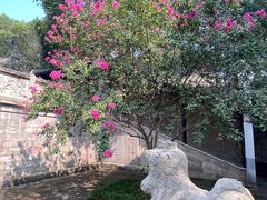 -常德桃花源景区