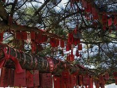 -云蒙山风景区