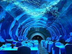 -海棠湾洲际-涛·海底餐厅·美人鱼·自助餐·海底隧道