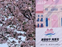 -天津五大道文化旅游区