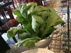 茼蒿-小牛海记潮汕牛肉店(永定路店)