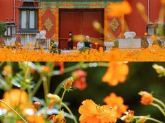-北海公园