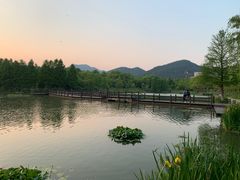 -浙江农林大学(东湖校区)