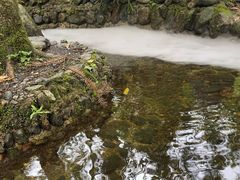 -西岭雪山大飞水景区