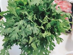 皇帝菜-三头牛·潮汕牛肉生蚝火锅 (夏湾店)