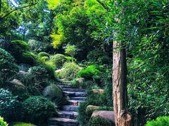 -北岭山森林公园