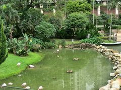 -石排湾郊野公园