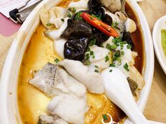 -清新鸡沙田乳鸽店(金融店)