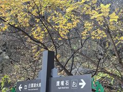 -阳台山自然风景区