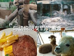 -灵玲国际马戏城