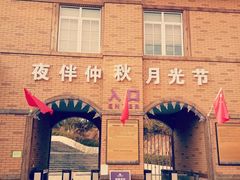 -大塘金香草谷