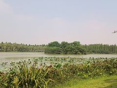 -艾溪湖湿地公园