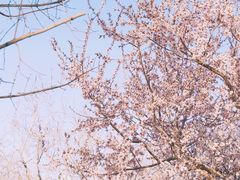 -三里河公园