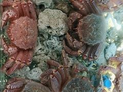 -璞御·海鲜·雪花牛肉局(宾水西道店)