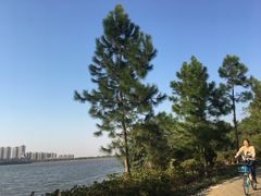 -艾溪湖湿地公园