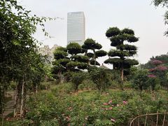 -南宁南湖公园