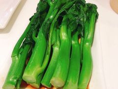 白灼芥兰-金鼎轩(亚运村店)