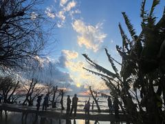 -捞渔河湿地公园