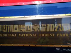 -莫尔道嘎国家森林公园