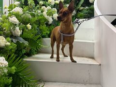 -半天妖烤鱼(和平印象城店)