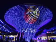 -上海小南国(世博源店)