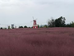 -羊亭河湿地公园