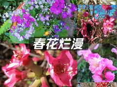 -庾园