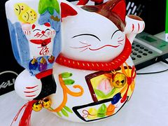 -中农国际动物医院24小时·猫科·骨科·急重症中心