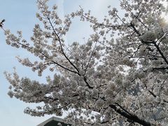 -龙美术馆(西岸馆)