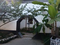 -上海醉白池公园