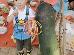 -前小桔亲子创意农场·草莓采摘·露营烧烤