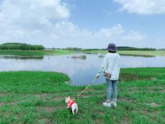 -蒲河岛湿地公园