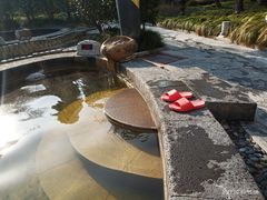 -扬州瘦西湖温泉